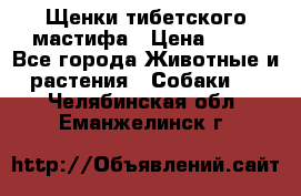 Щенки тибетского мастифа › Цена ­ 80 - Все города Животные и растения » Собаки   . Челябинская обл.,Еманжелинск г.